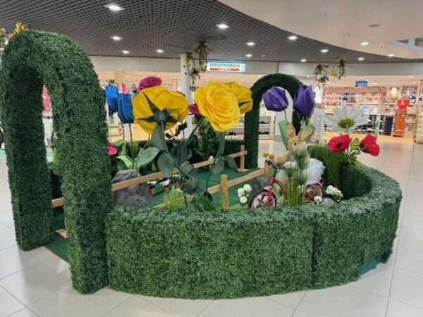 Tulipe Lavende