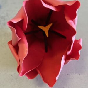 Tulipe rouge ouverte