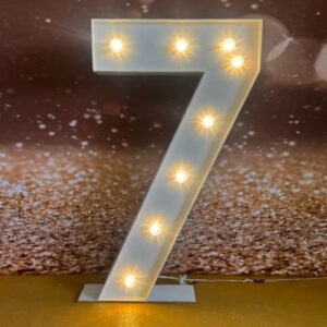 7 Lettre et Chiffre lumineux