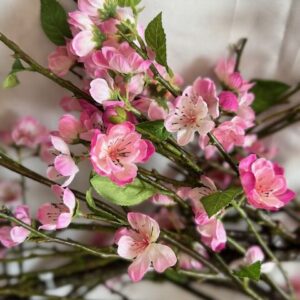 Branche Cerisier rose