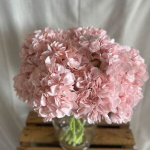 Hortensia rose