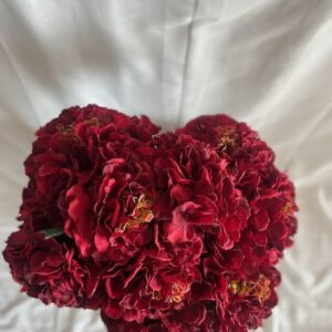 Hortensia rouge