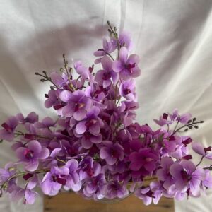 Orchidée violet branches