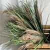 Herbes de pampas en branches