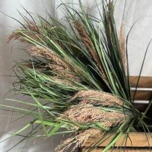 Herbes de pampas en branches