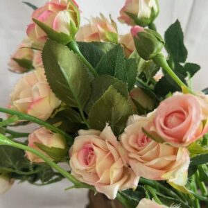 Mini rose Vintage English Rose